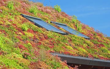 Slade living roof systems