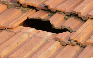 roof repair Slade